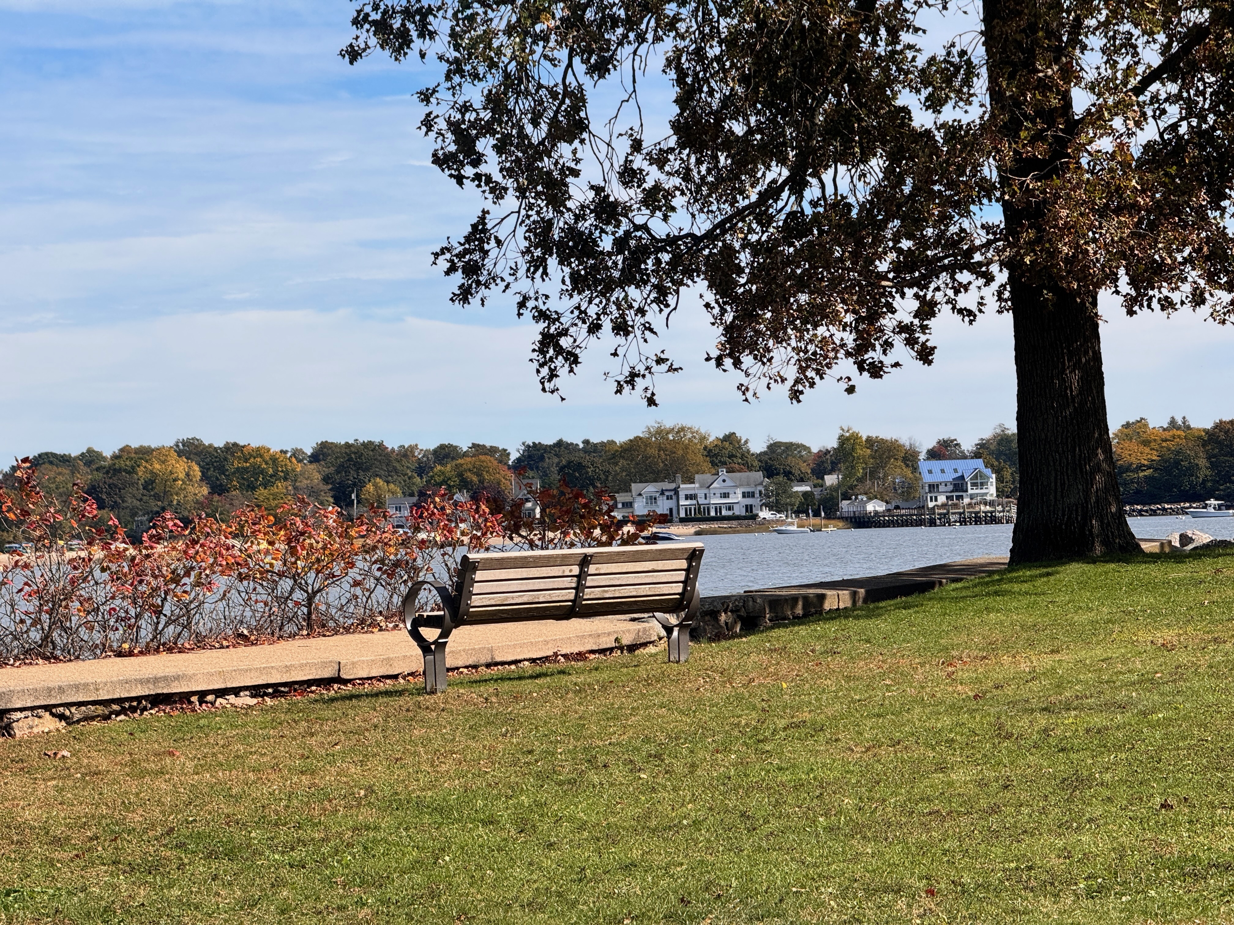 The Cove in Stamford, CT