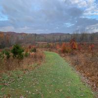Grocery Stores in Peapack-Gladstone