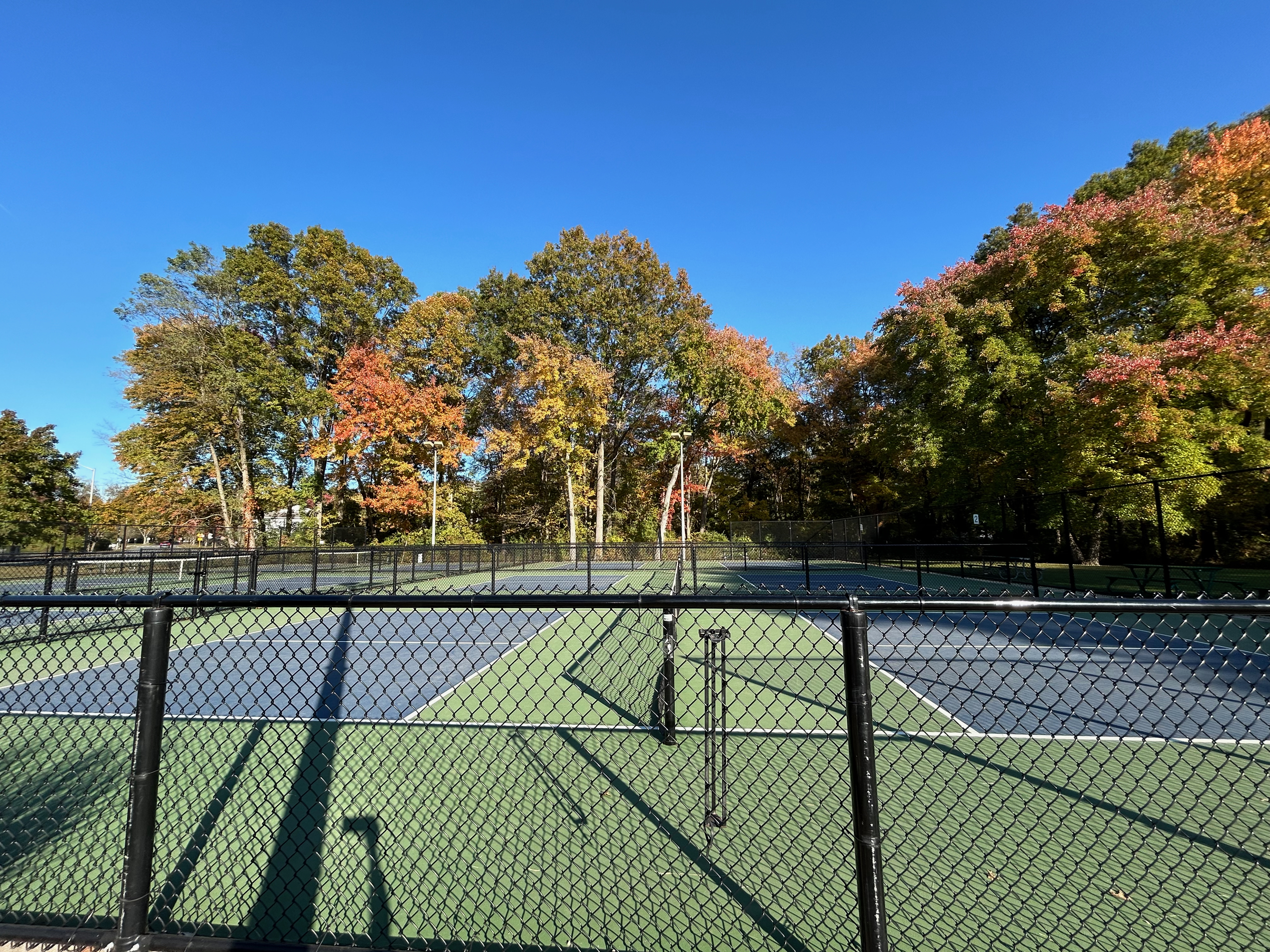 Pickleball Courts in Morris Township