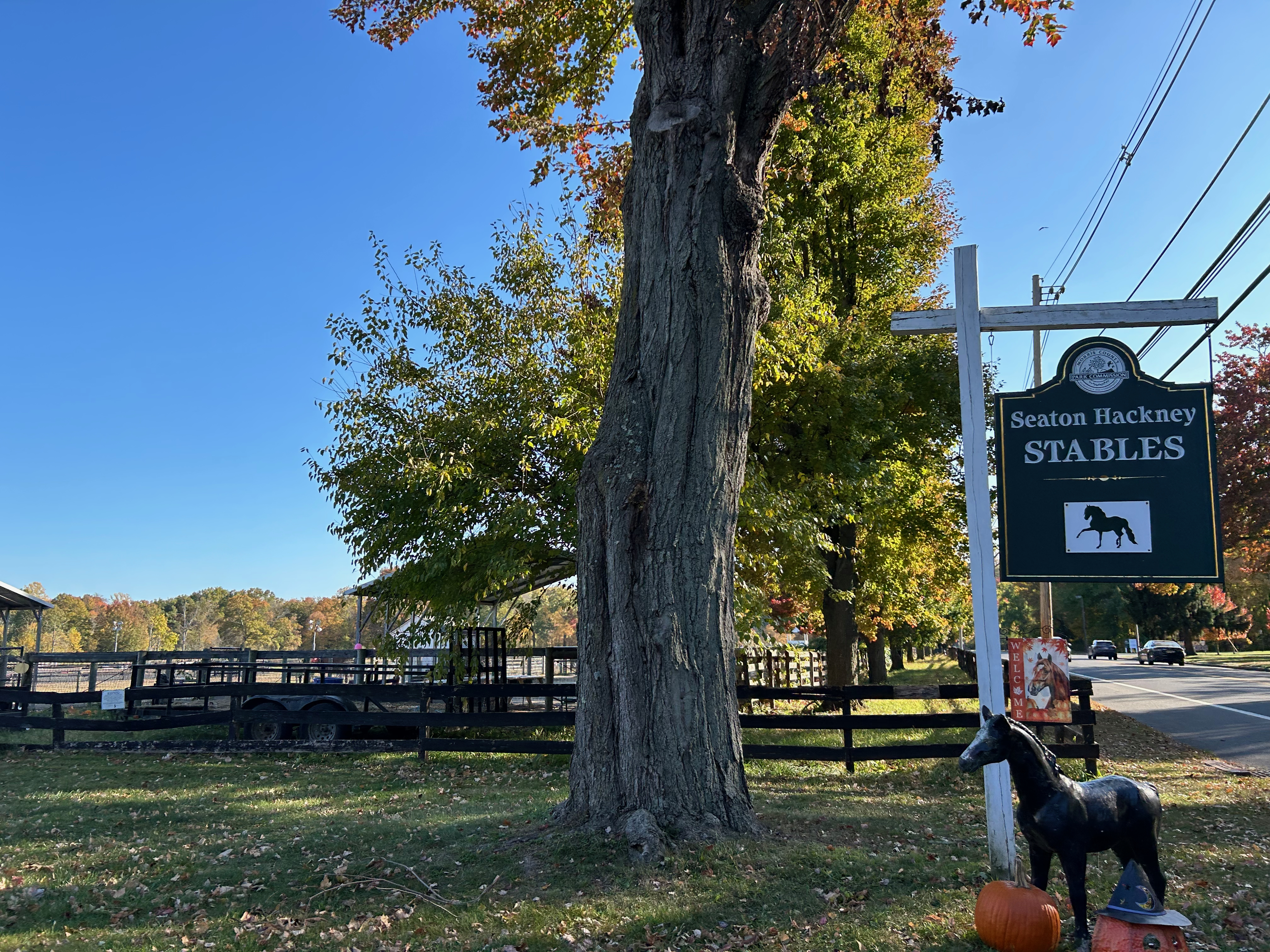 Seaton Hackney Stables in Morristown