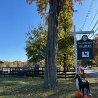 Private Schools near Morristown