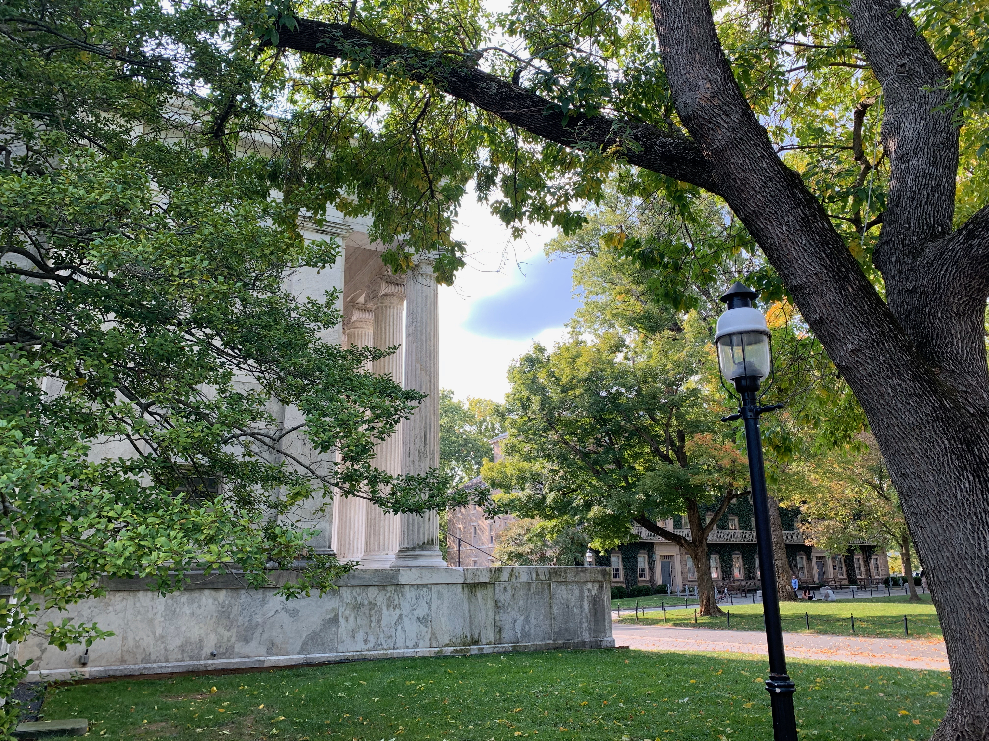 Princeton University