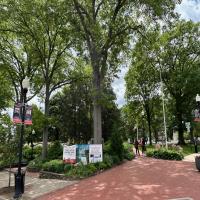 Grocery Stores in Ridgewood