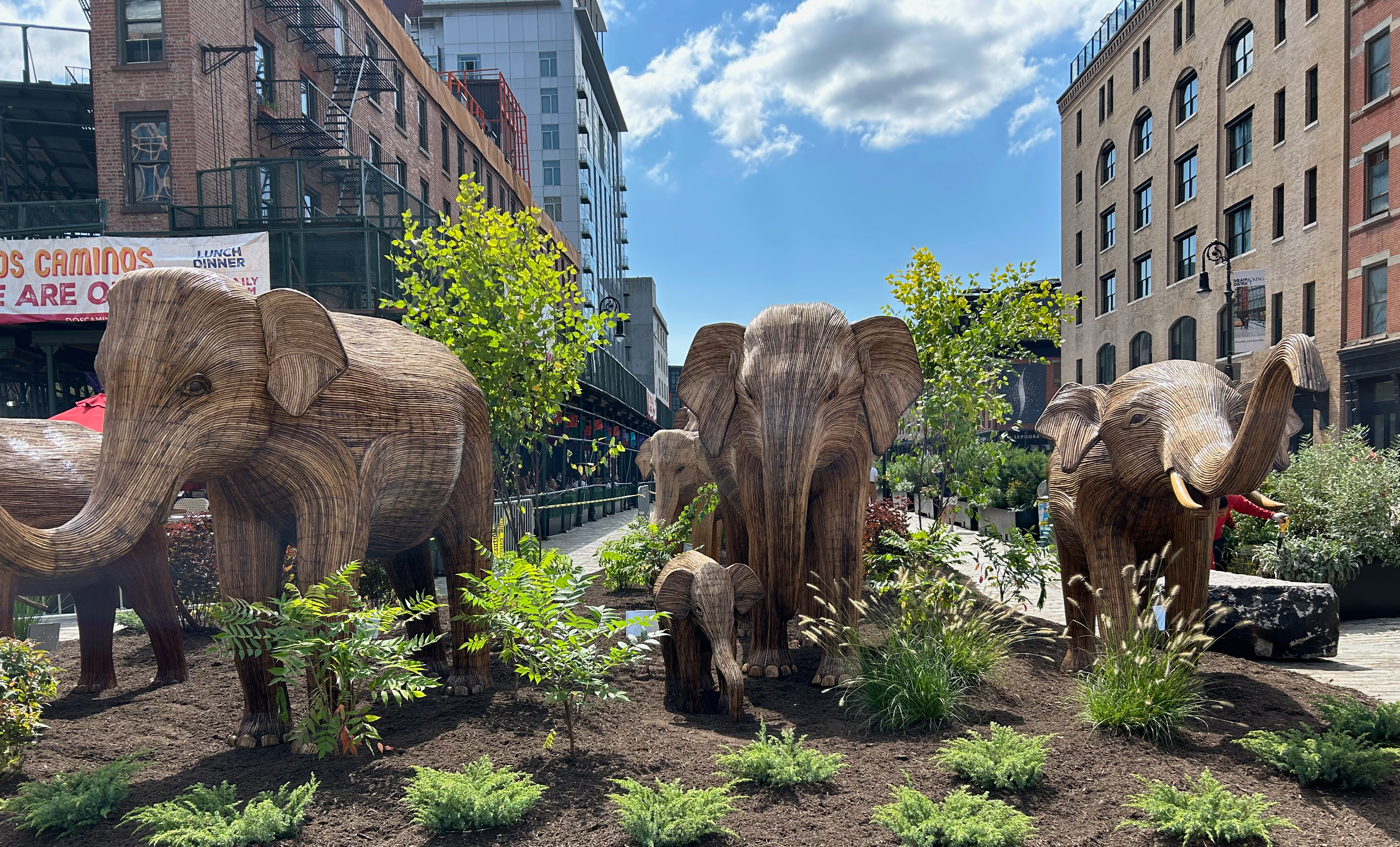 The Great Elephant Migration, 2024
