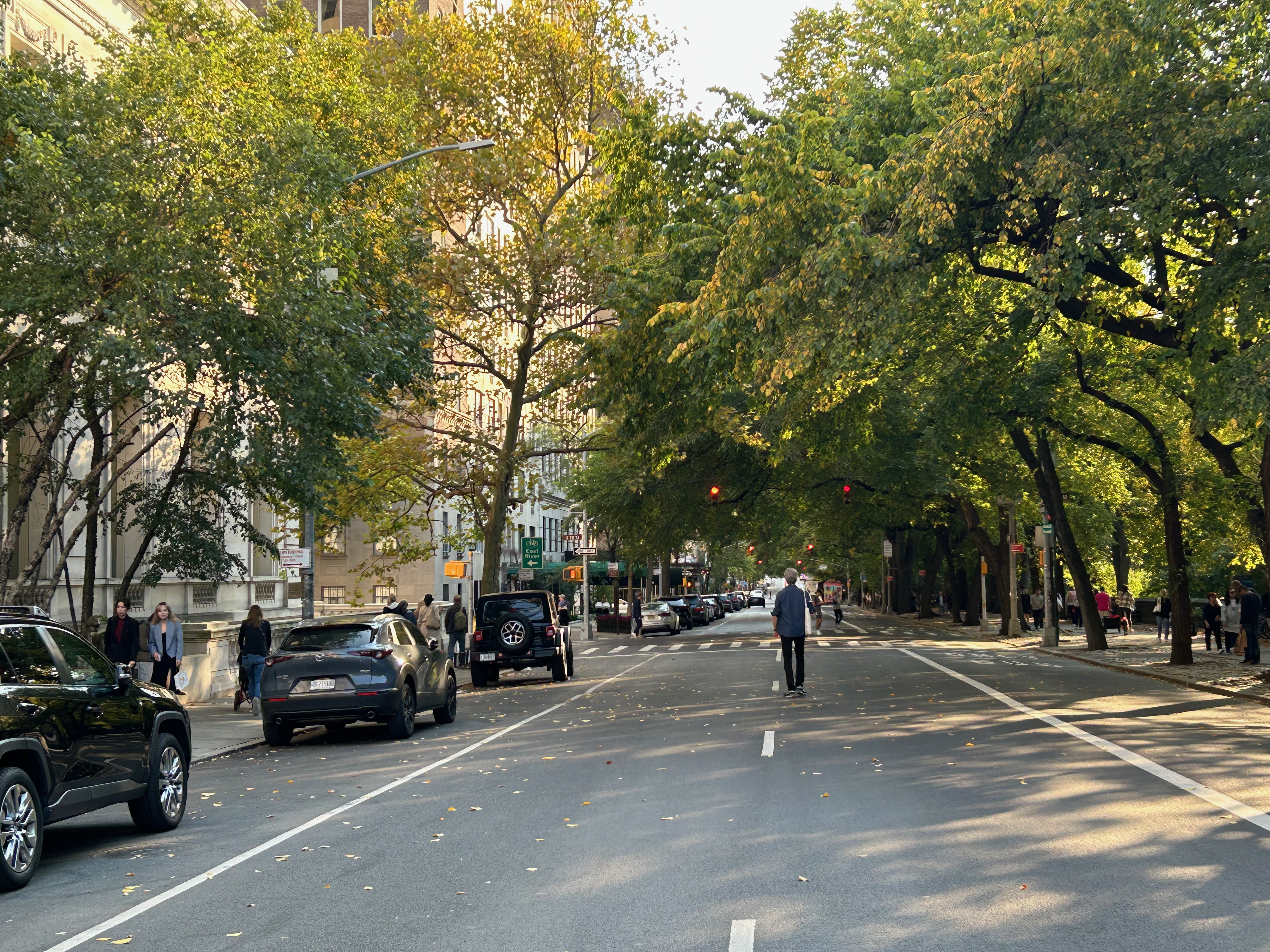 Strolling Down 5th Avenue