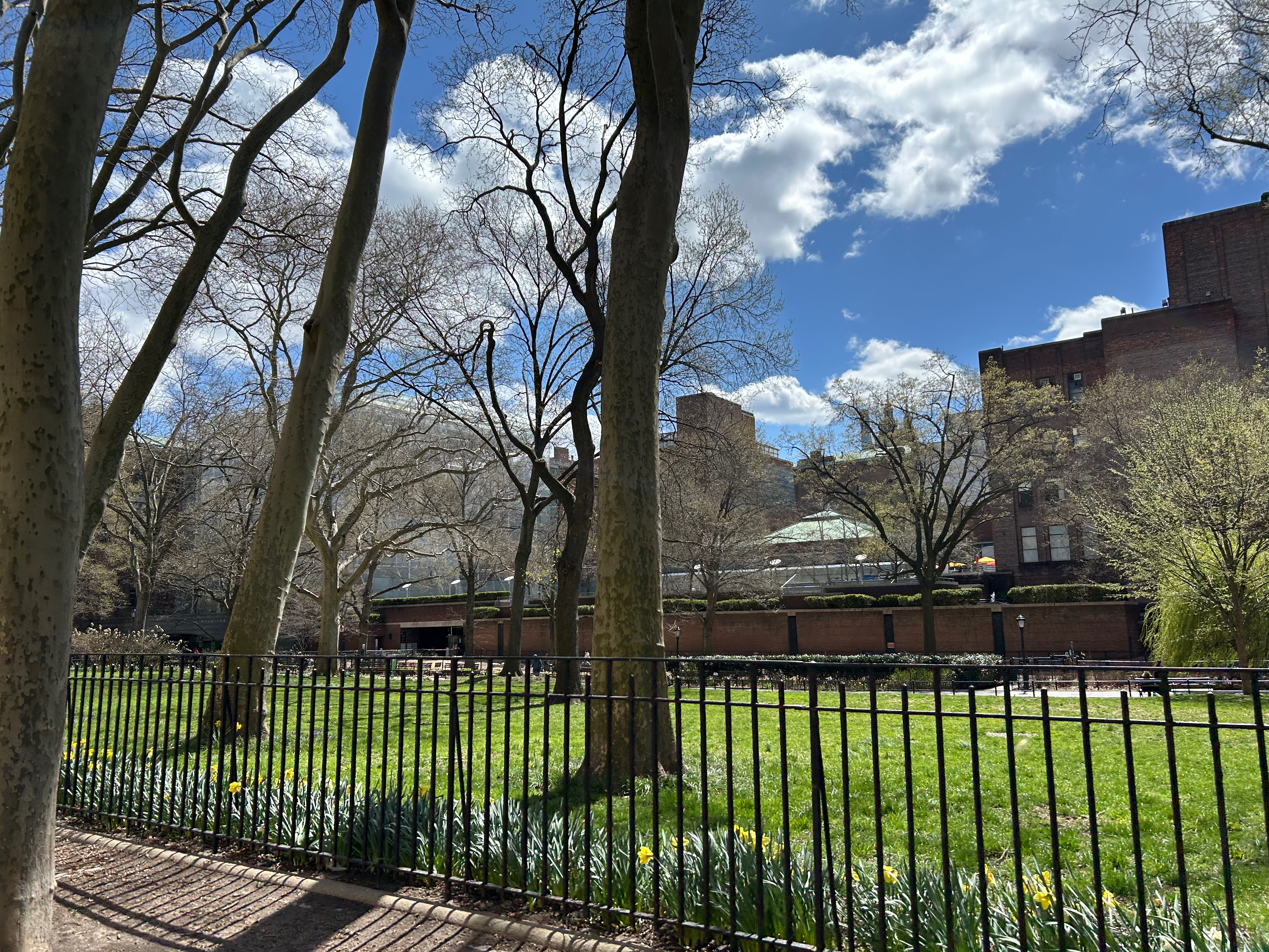American Museum of Natural History (Upper West Side)