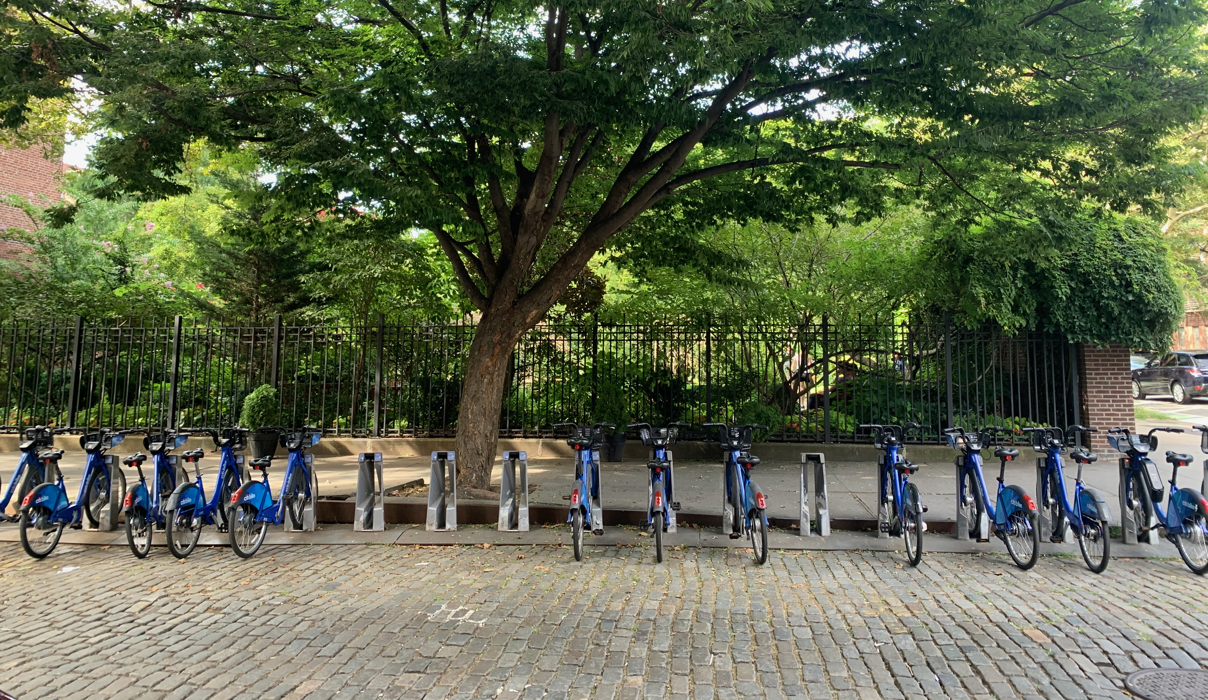 Citi Bikes in the West Village, NYC